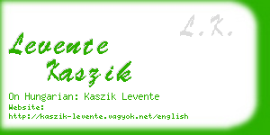 levente kaszik business card